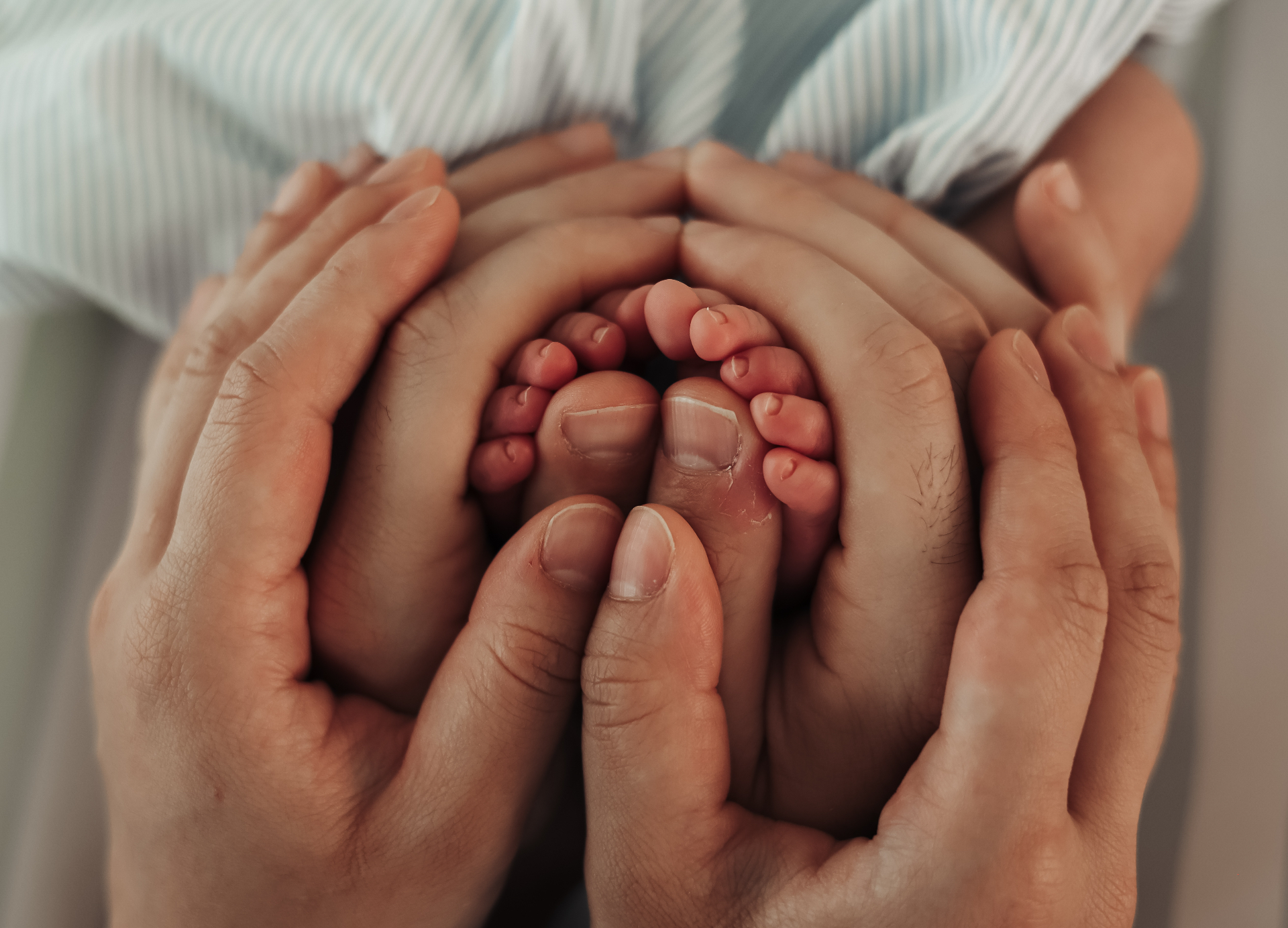 Tiny newborn feet cradled in mother's and father's hands together