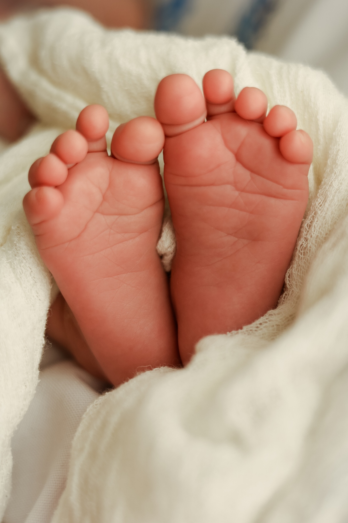 Close-up of tiny newborn toes wrapped in a soft white blanket