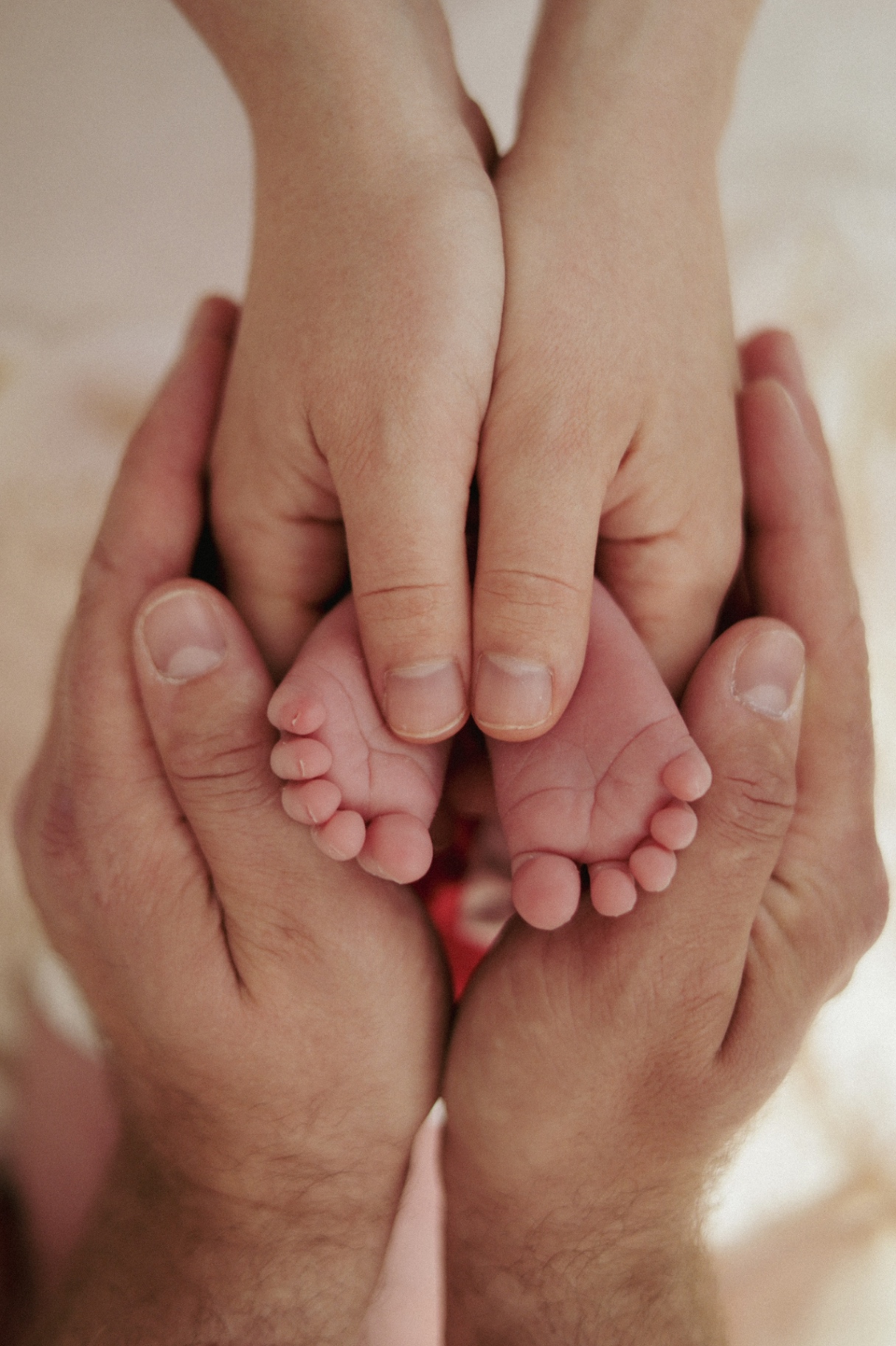Tiny newborn feet cradled in parents' hands