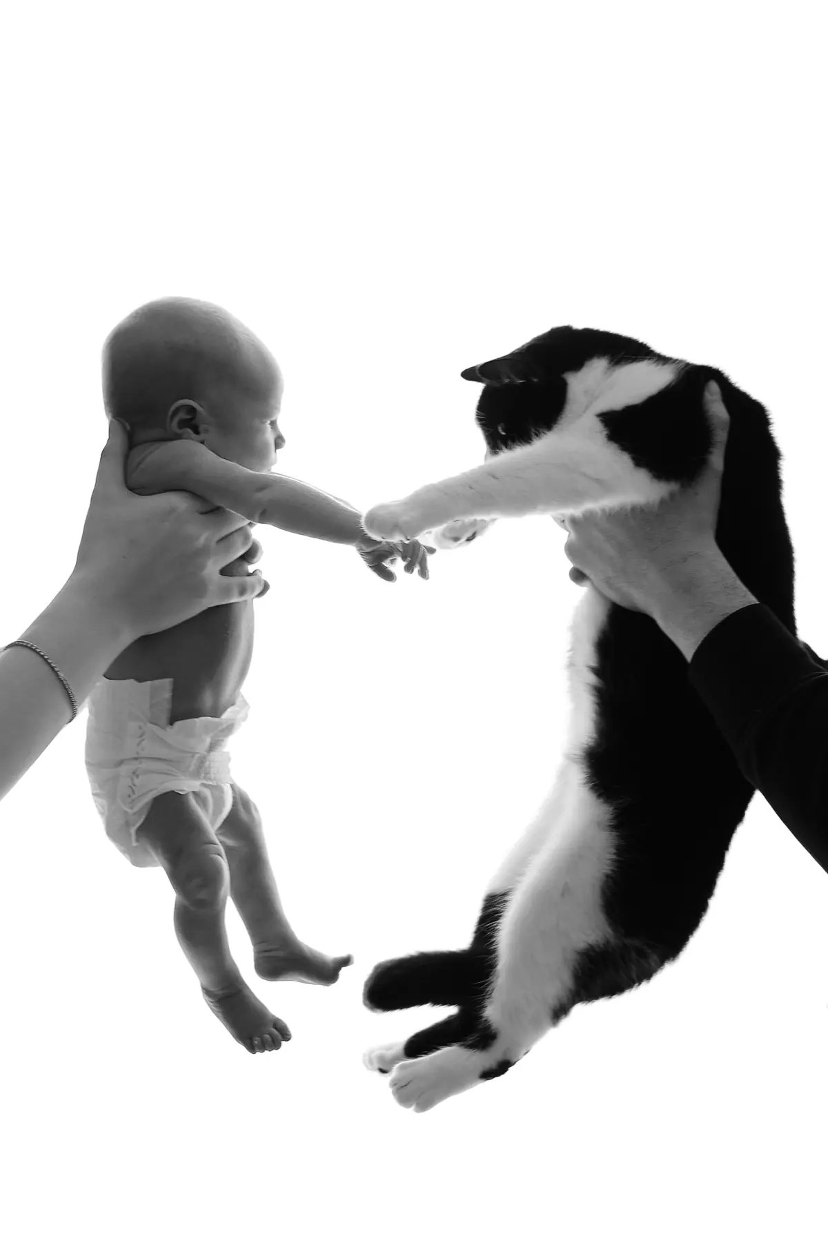 Baby reaching toward a black-and-white cat in a high-key portrait