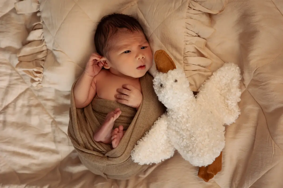 Awake newborn wrapped in a caramel knit beside a fluffy duck toy on soft beige fabric